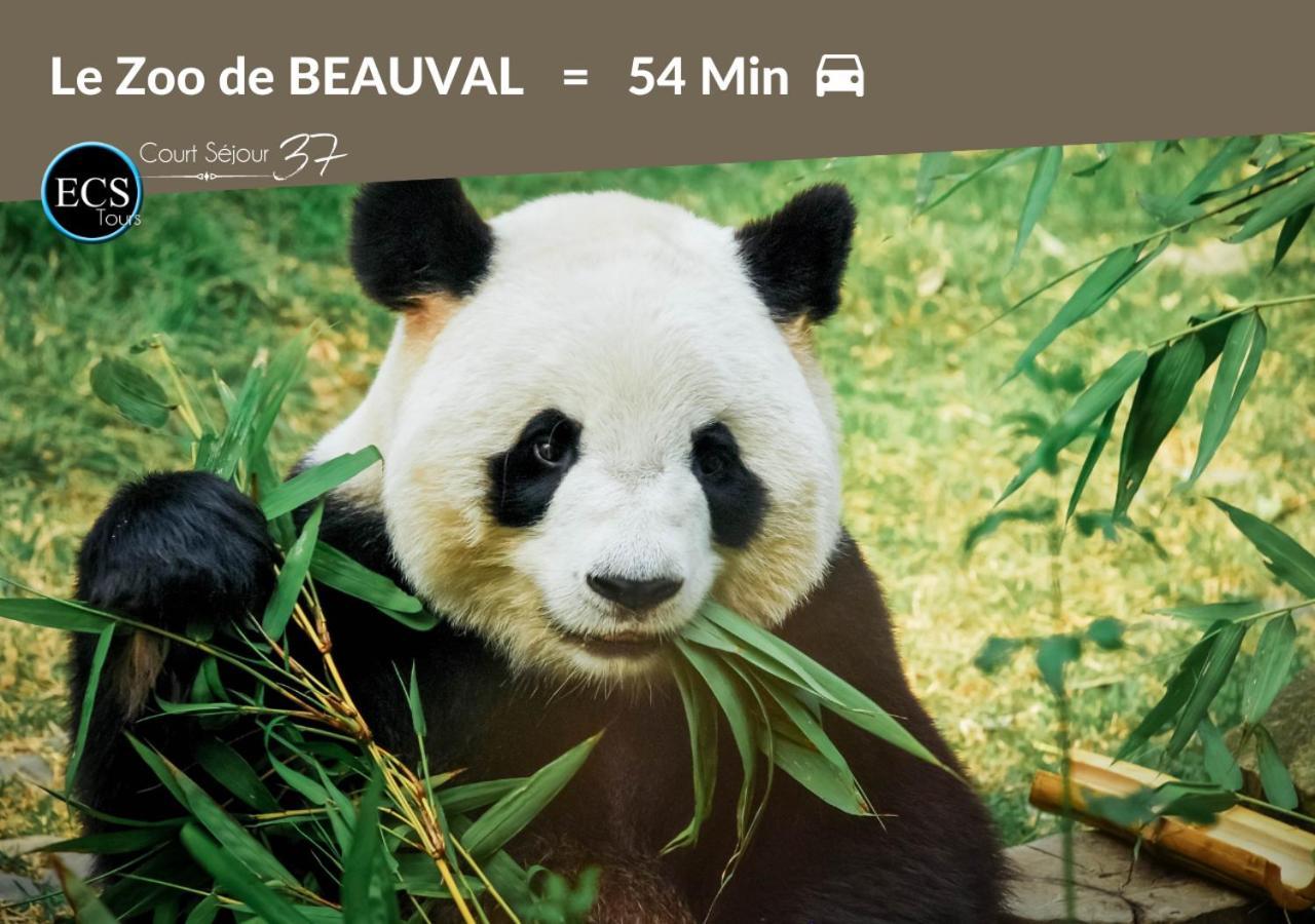 "Cozy Zen" 1 Grande Chambre - Calme - Arrivee Autonome - 6 Pers - Parking Gratuit Tours Exteriör bild